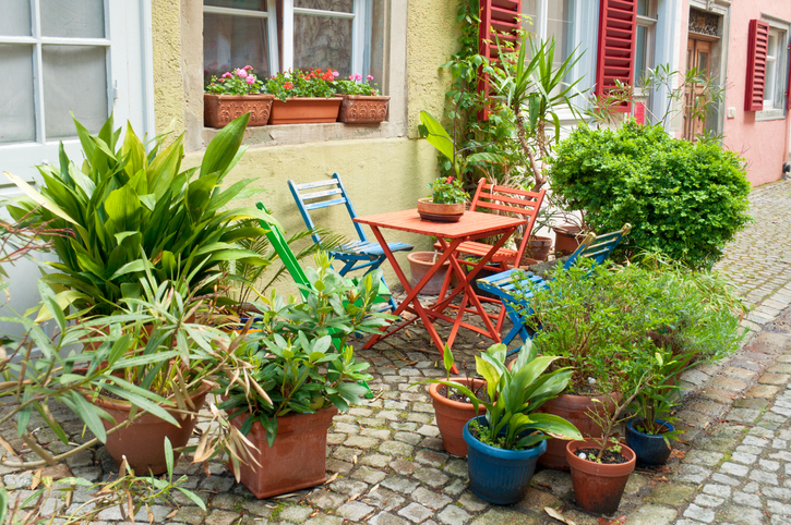 pocket-garden-multicolored-chairs-and-table-with-collection-of-potted-plants-in-front-of-building-window