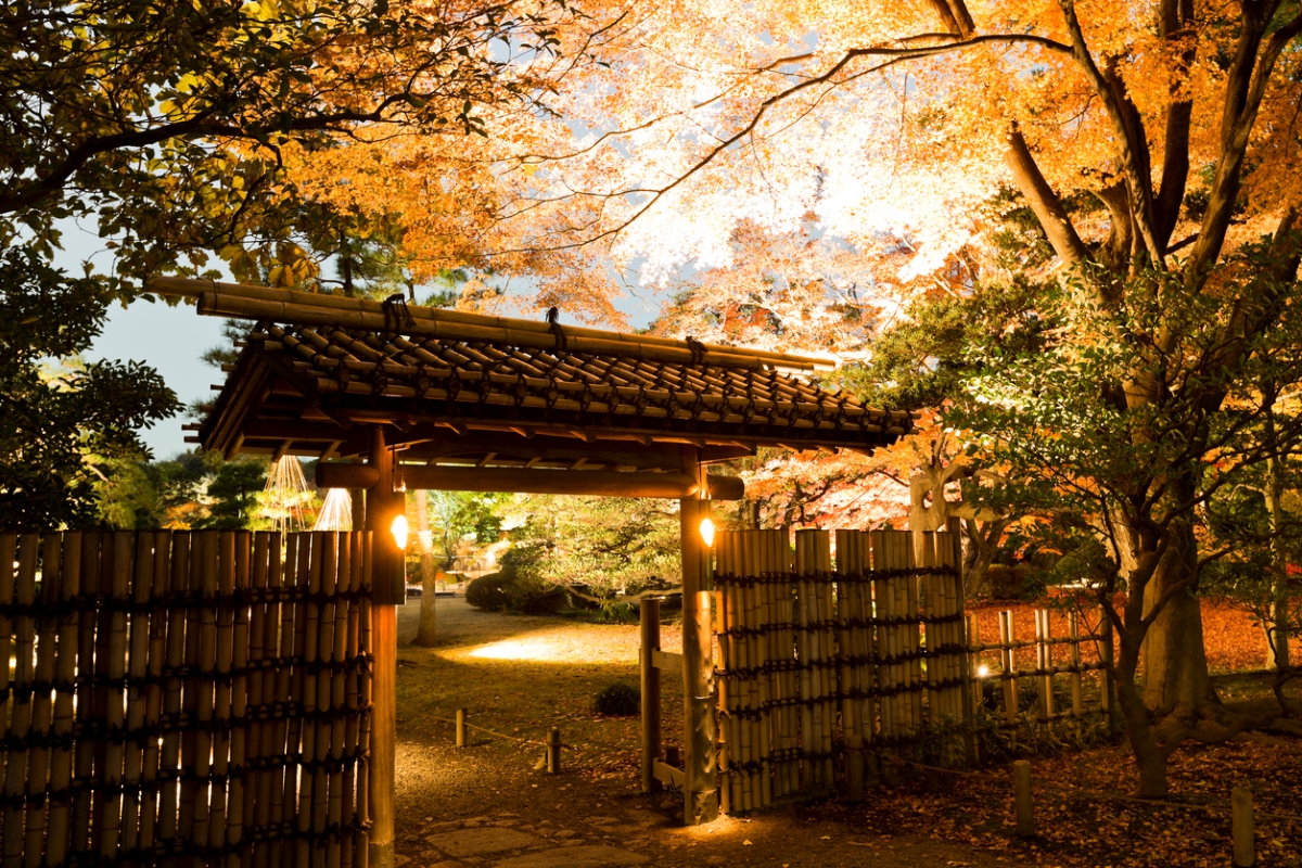 zen garden ideas - japanese bamboo fence at dusk