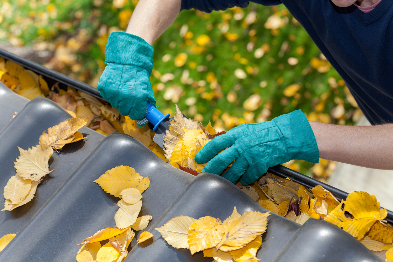 iStock-513231327 things a landscaper can do cleaning gutters from leaves