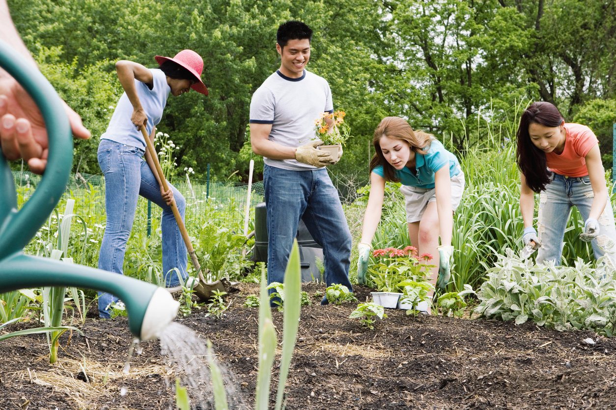 iStock-519977247 save money gardening Group planting in community garden