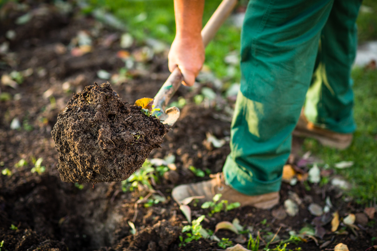 how to till a garden without a tiller - using a shovel