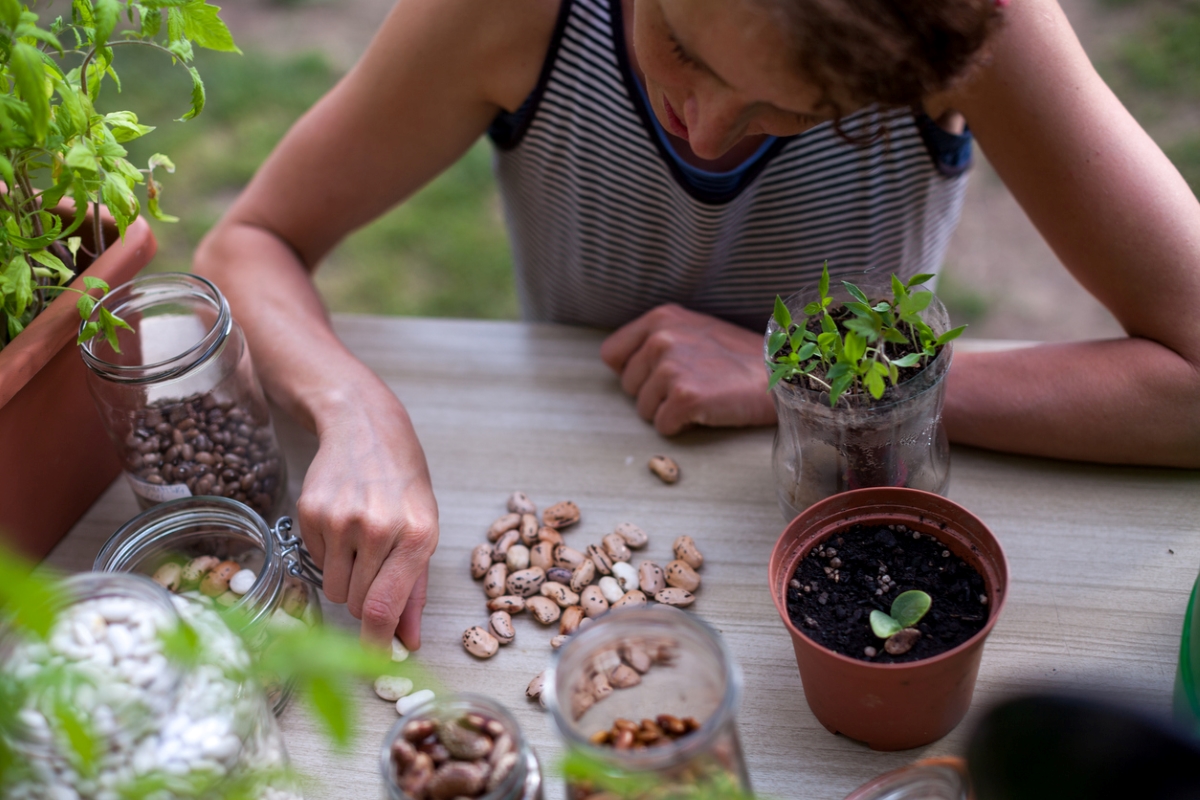 free ways to start a garden - woman counting bean seeds