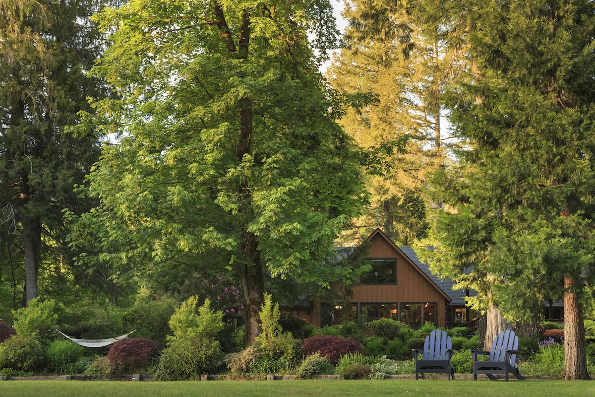 A cabin-style house with lawn furniture sitting under several shady, mature trees.