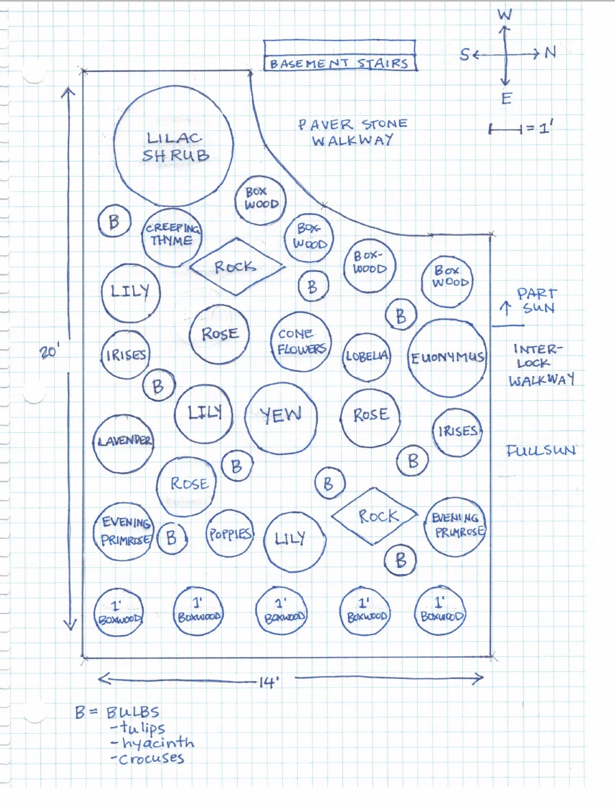 Garden Planned out on graph paper