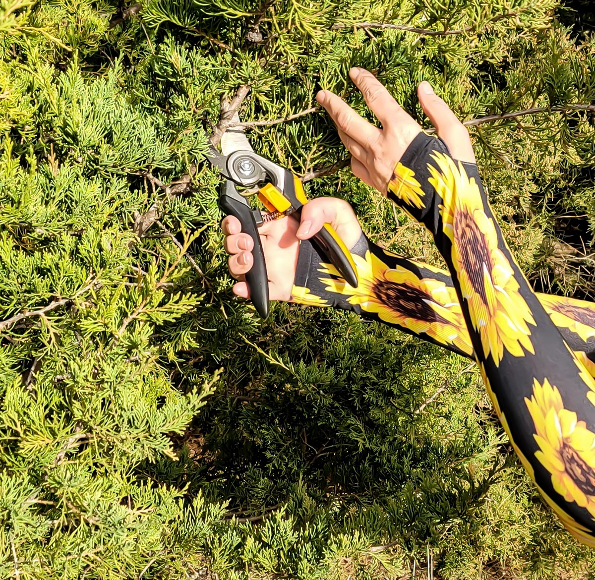 Close-up of a woman using a pruner to trim a tree while wearing Wellday gardening sleeves