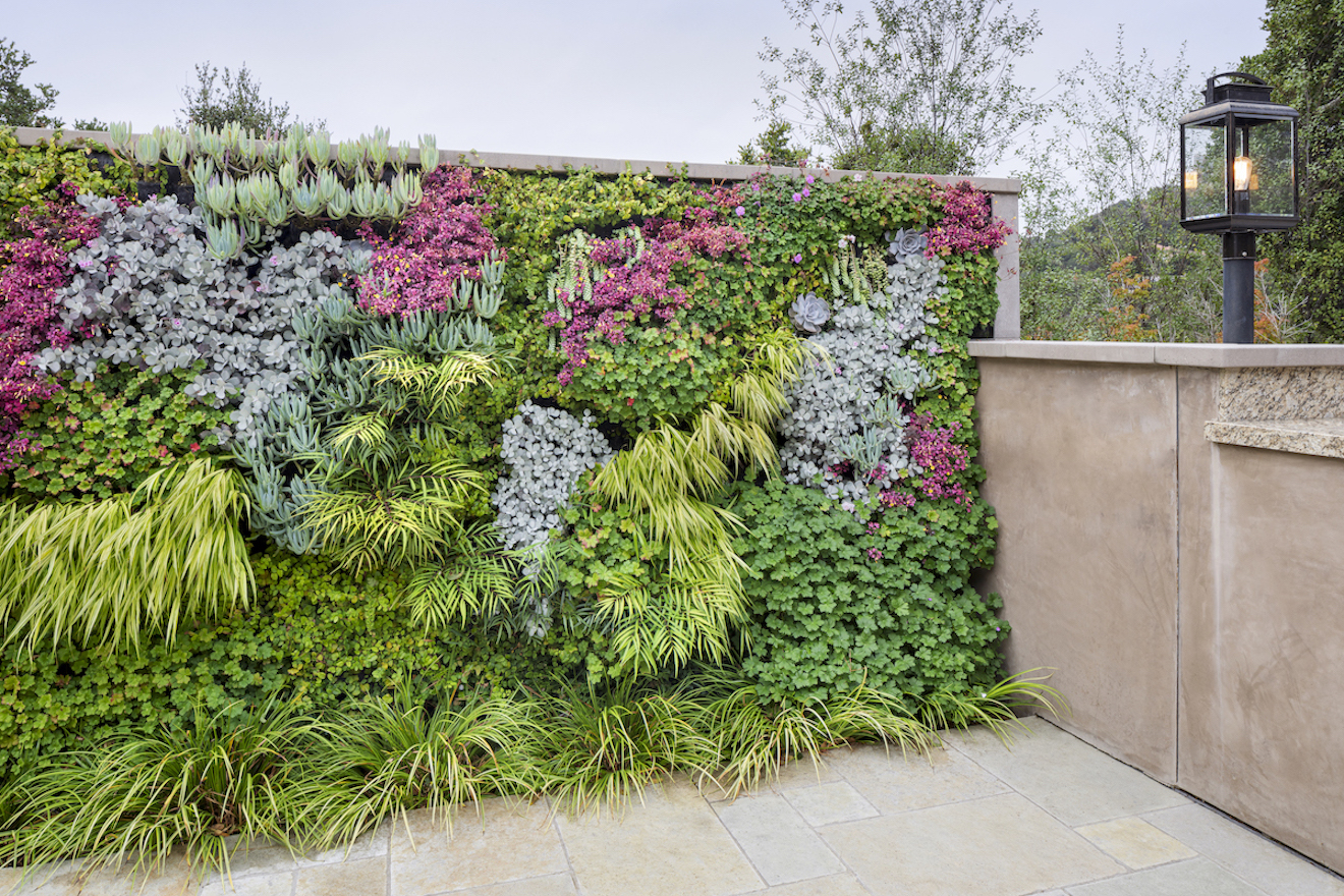 stone patio with wall covered in eclectic plants