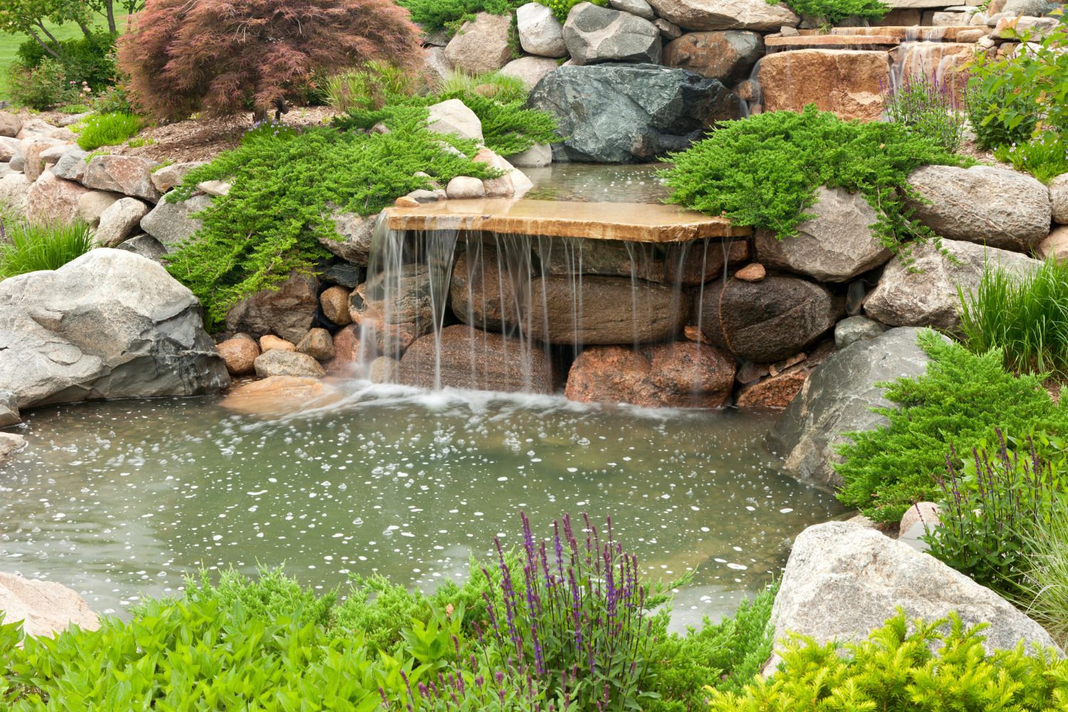 How Much Does It Cost to Build a Pond