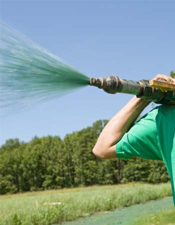 Hydroseeding Cost: How Much to Budget and What to Expect - Bob Vila