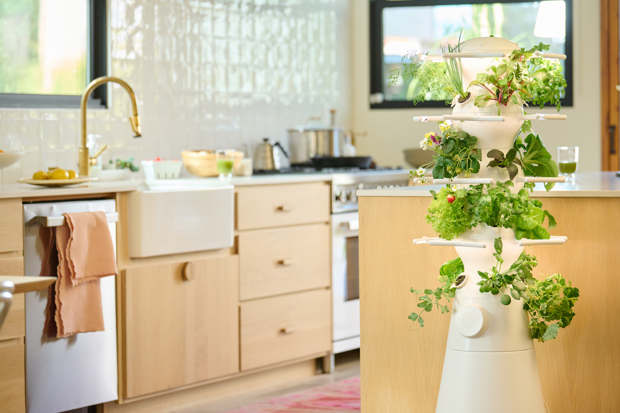 beautiful bright kitchen with white farmstand with lettuce and herbs growing next to island counter