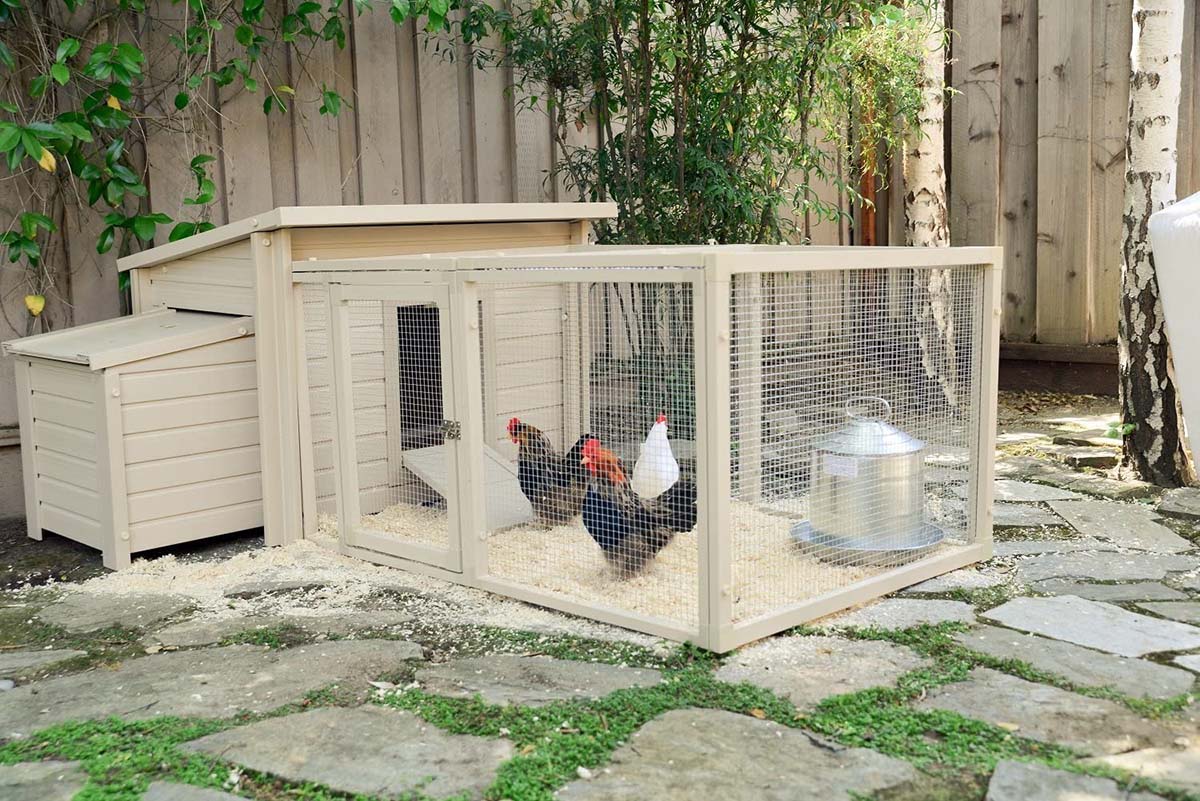 Low-Cost Chicken Coop Option: New Age Pet ecoFLEX Fontana Chicken Barn