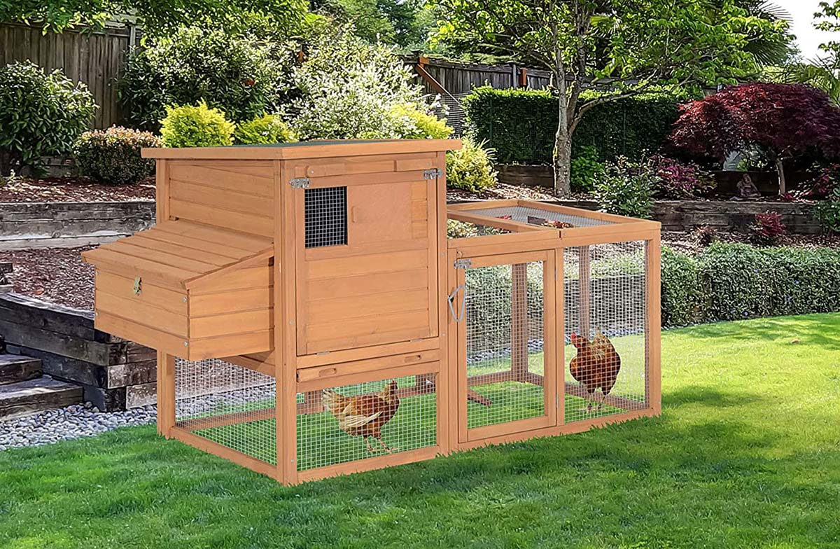 Low-Cost Chicken Coop Option: PawHut 75-Inch Wooden Hen House