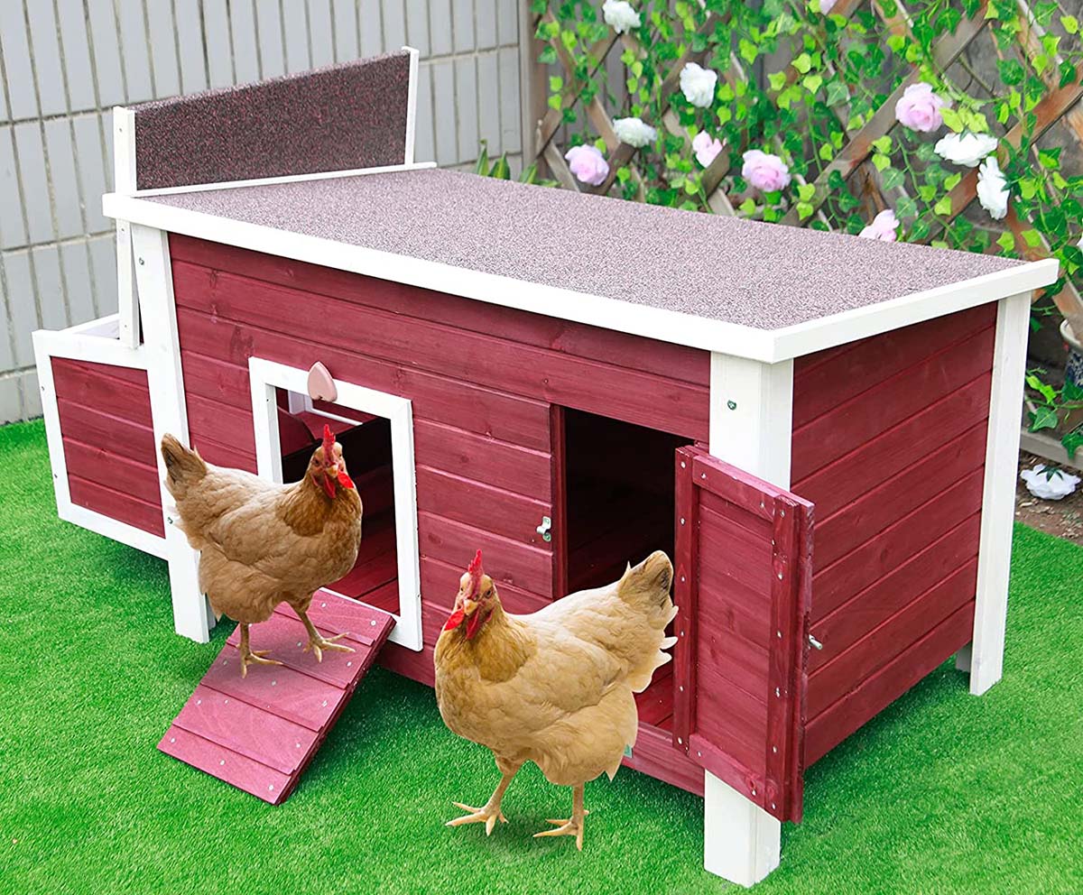 Low-Cost Chicken Coop Option: Petsfit Weatherproof Outdoor Chicken Coop With Nesting Box