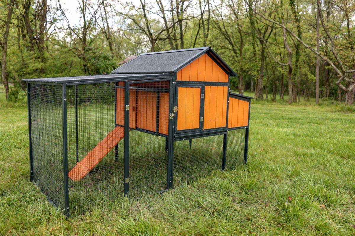 10 LowCost Chicken Coops We Love Bob Vila