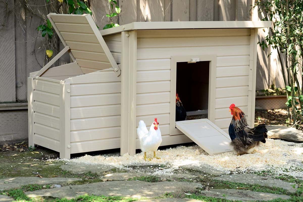 Low-Cost Chicken Coop Options