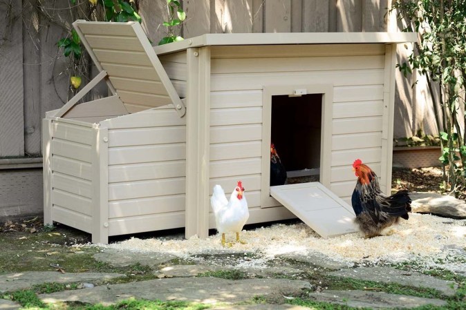 How Much Does a Chicken Coop Cost to Build?