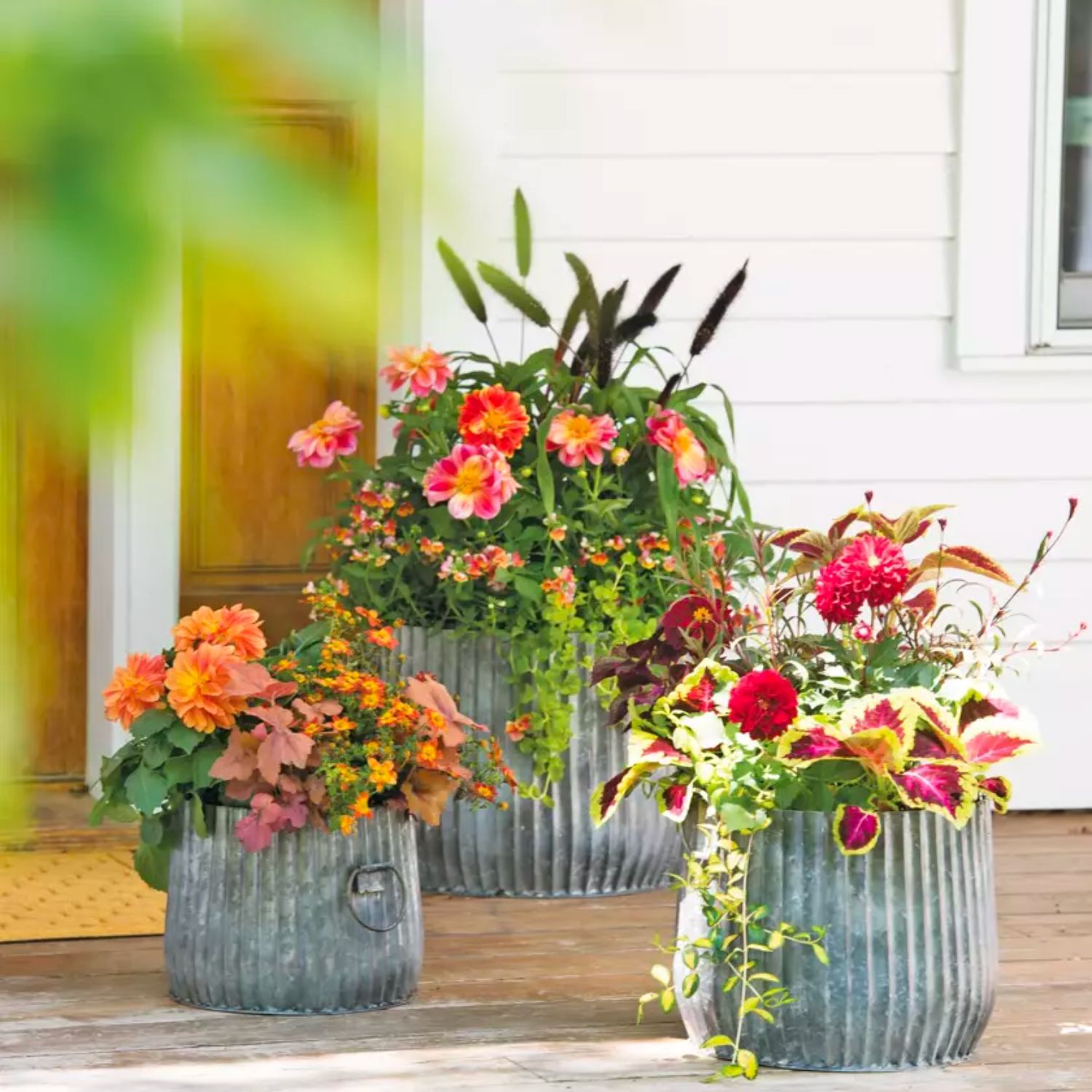 Our Favorite Online Garden Stores for Seeds Plants Supplies and More: Gardener’s Supply Company
