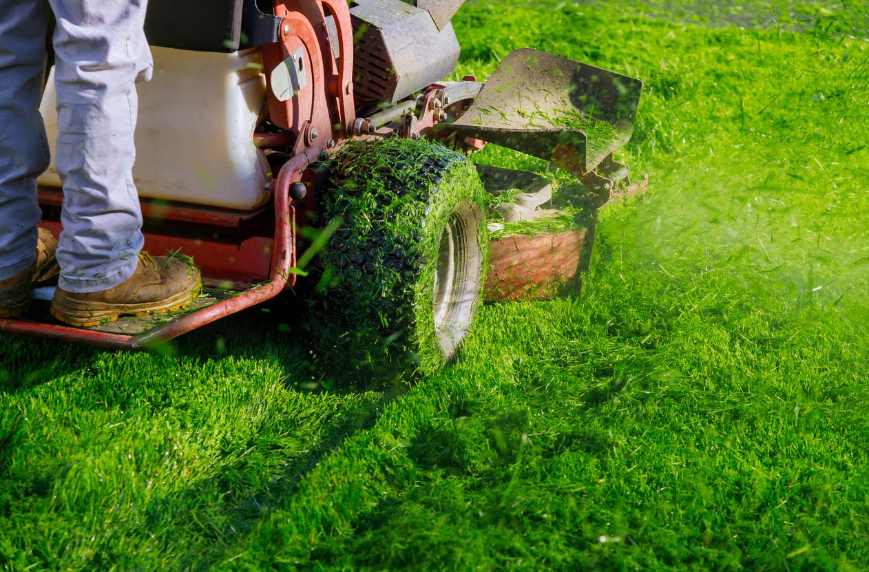 The Best DIY Lawn-Care Program Options