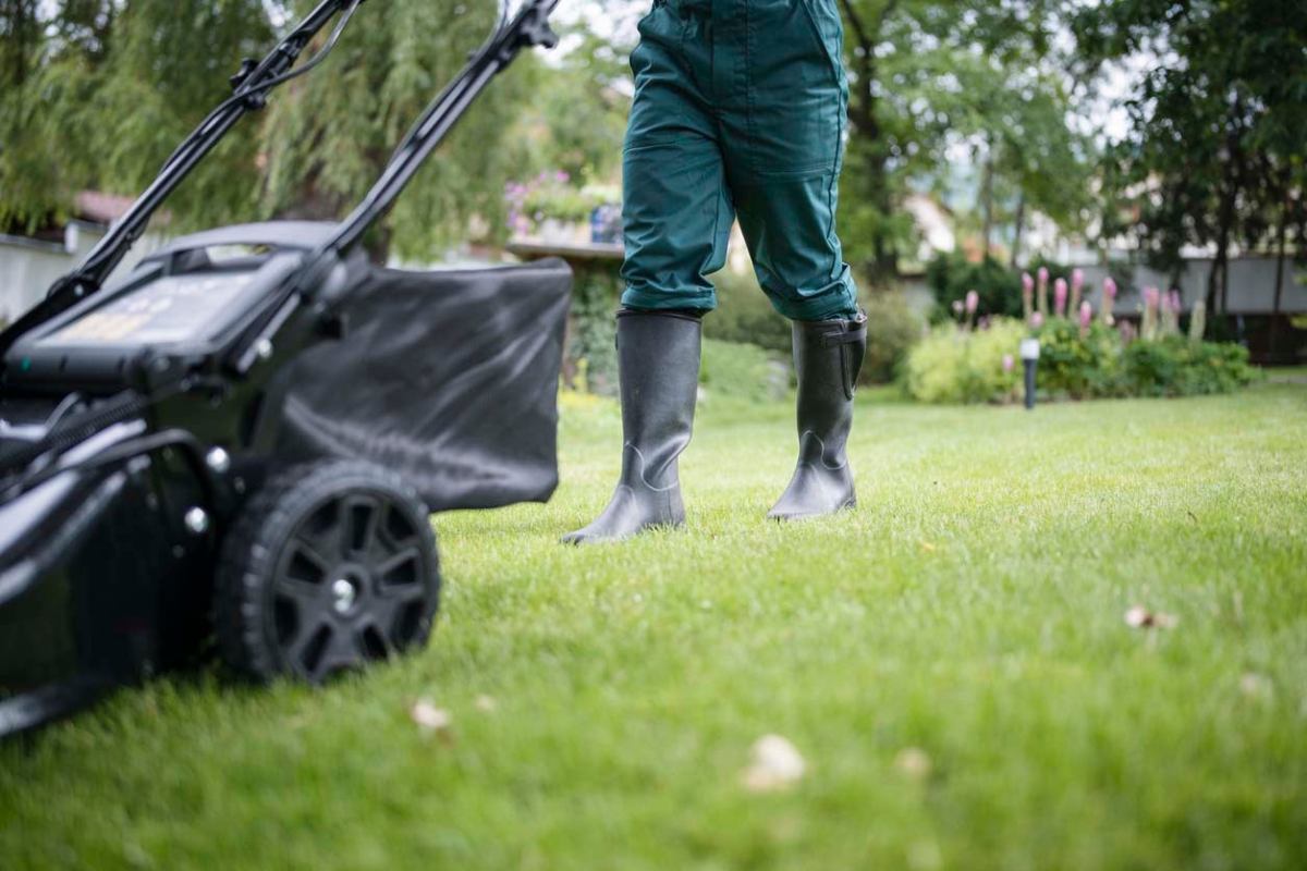 The Best DIY Lawn-Care Program Options