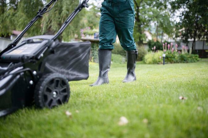 The Best Grass Seed for a Full, Green Lawn
