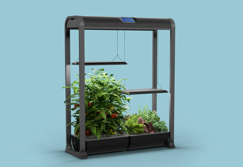product shot with blue background of small contained herb garden with LED lights hovering above small potted herbs