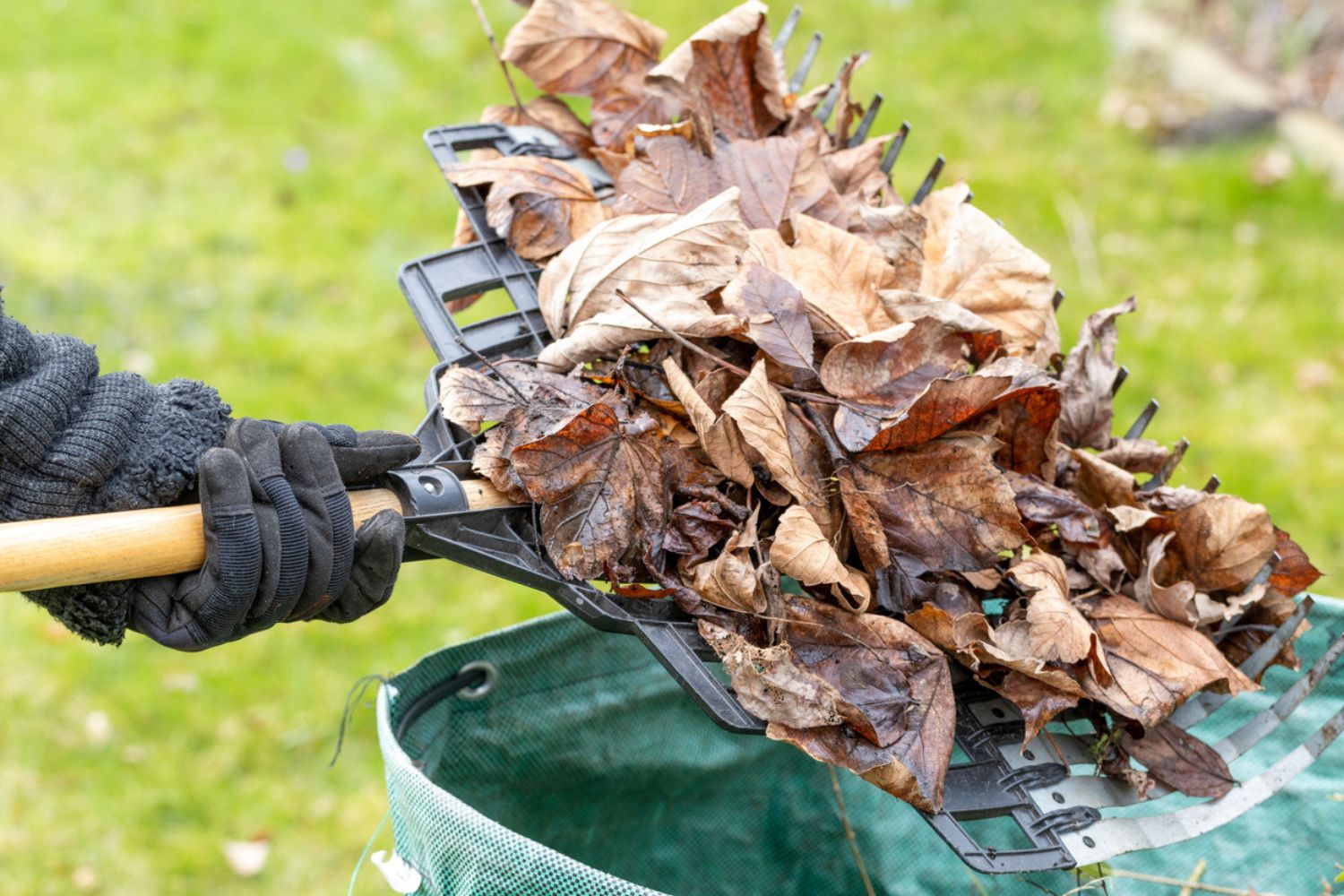 How Much Does Shrub and Bush Removal Cost? (2023) Bob Vila