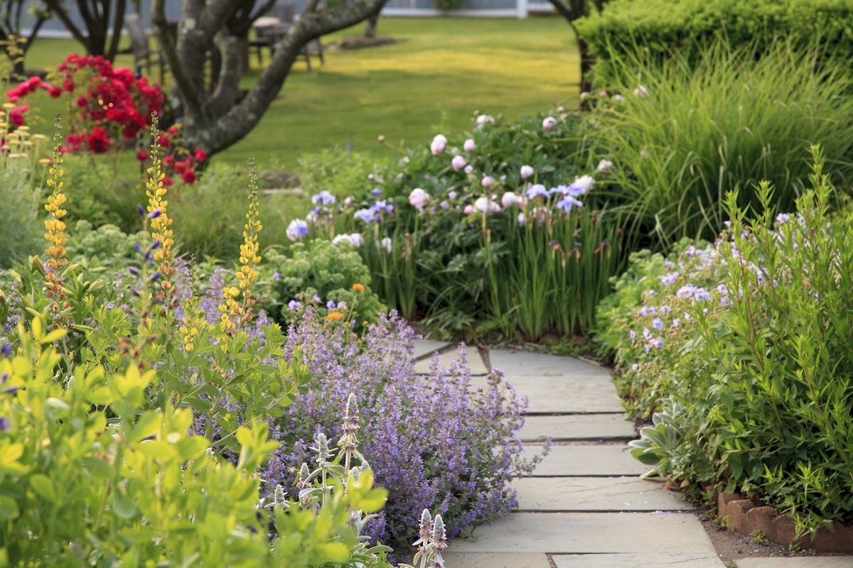 A garden surrounding a stone garden path with easy-growing flowers surrounding it.