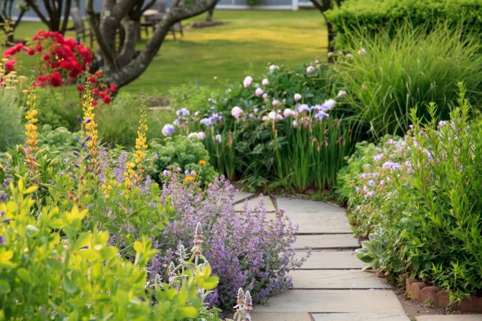 A garden surrounding a stone garden path with easy-growing flowers surrounding it.