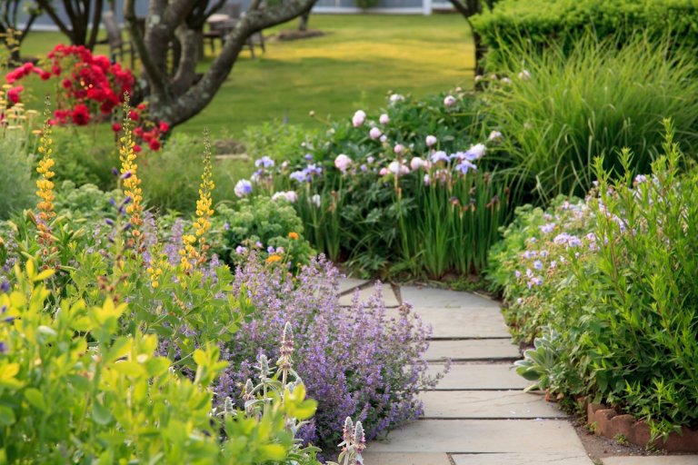 A garden surrounding a stone garden path with easy-growing flowers surrounding it.