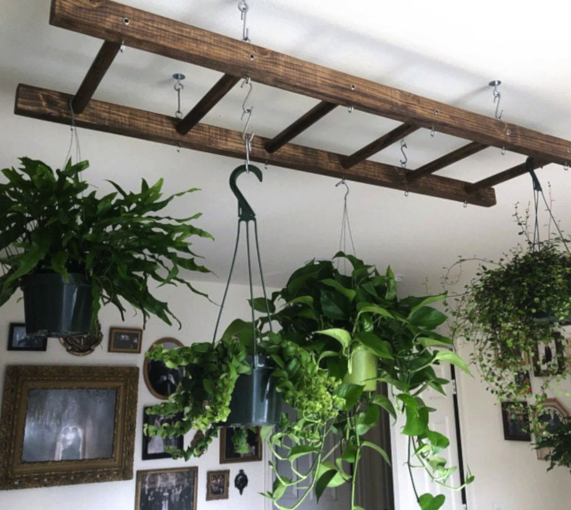 ladder mounted to ceiling with potted plants hanging from it
