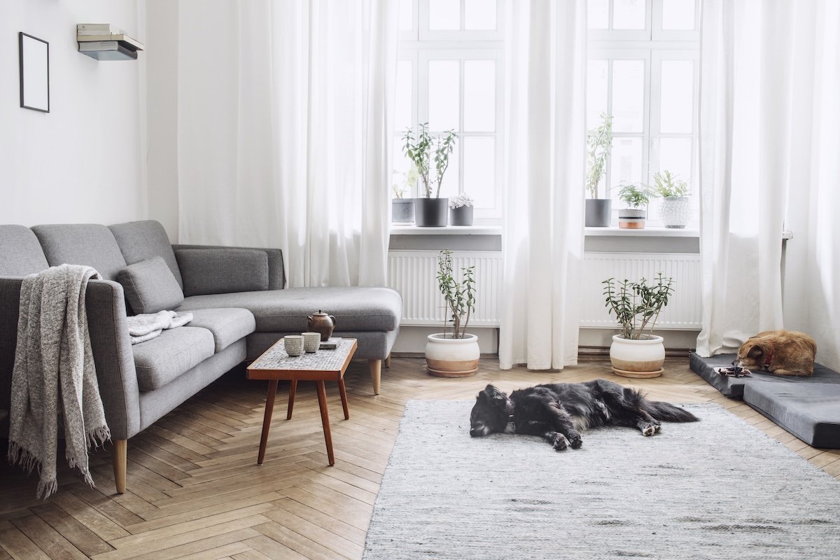 A grey-toned living room with floor length white curtains.