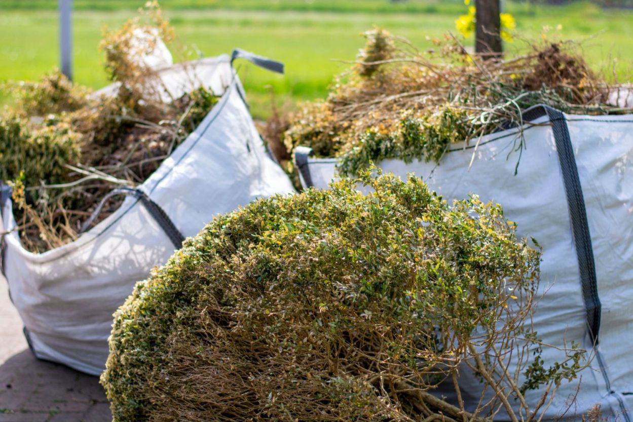 How Much Does Shrub and Bush Removal Cost? - Bob Vila