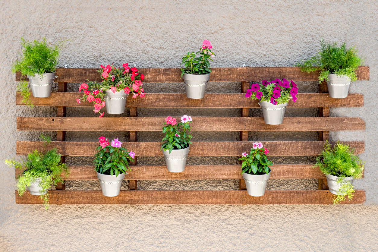 white stucco wall with colorful flowering potted plants mounted onto wood pallet