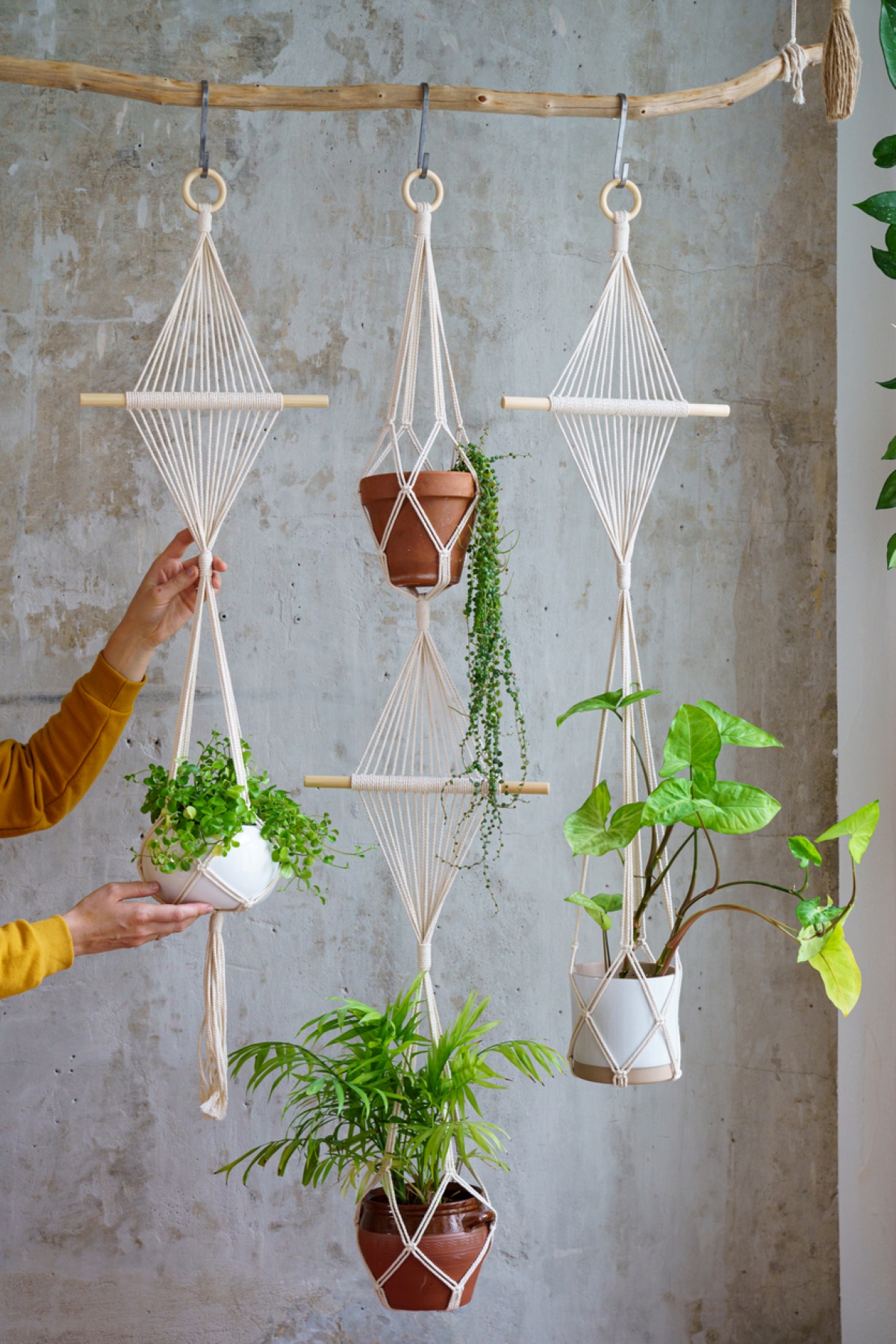 Person holding macrame plant holders