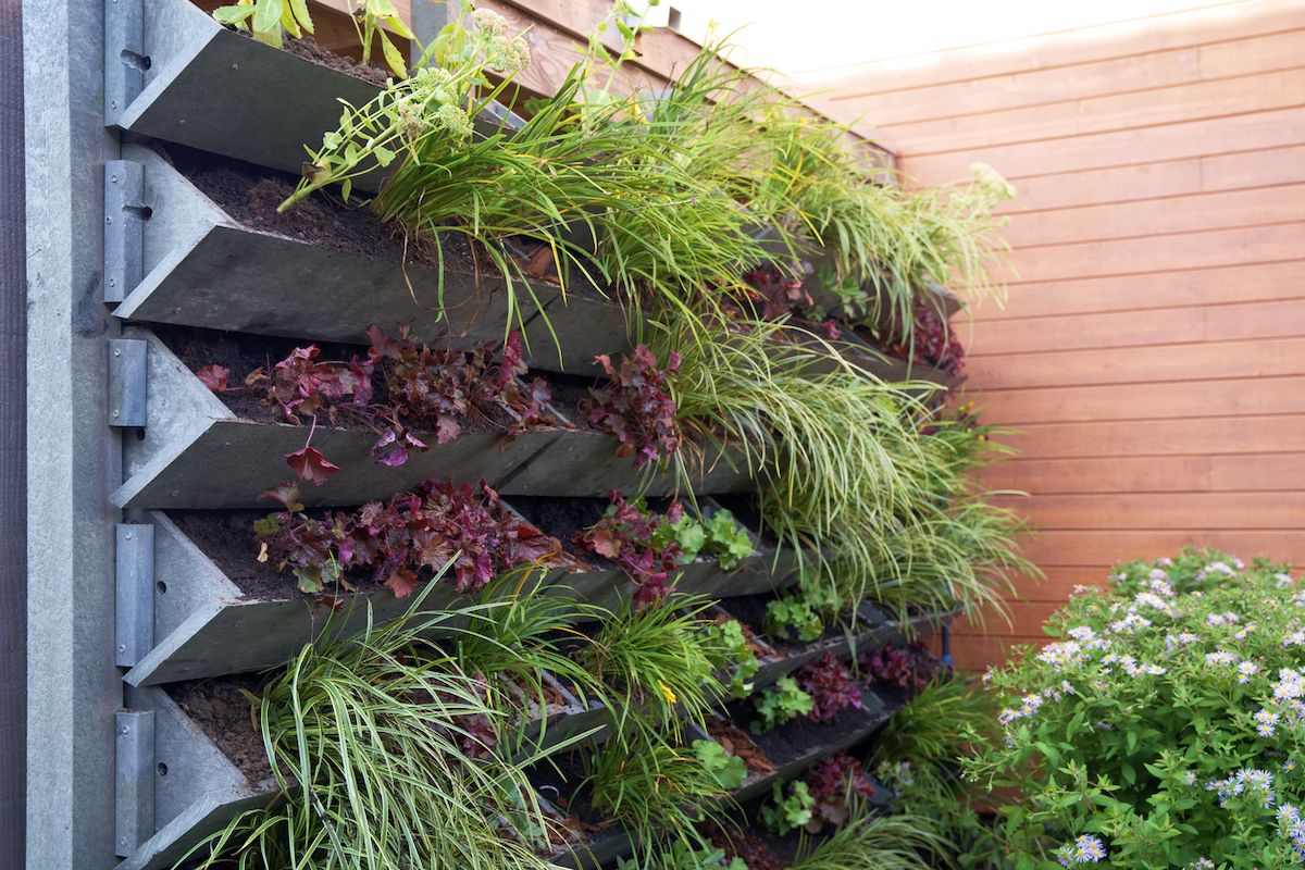 vertical garden ideas showing planter boxes mounted to exterior wood wall