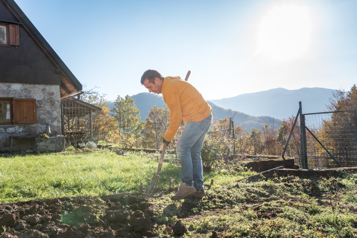 iStock-1358730172 high altitude gardening Man Preparing the Vegetable Garden for Winter by Digging the Ground on Sunny Autumn Day