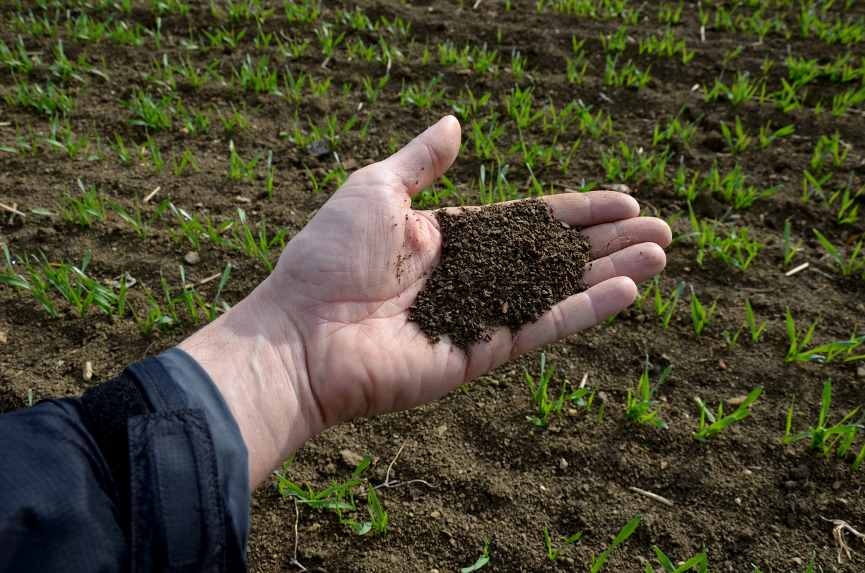 iStock-1390084173 high altitude gardening testing soil in hands to see if its good for growing