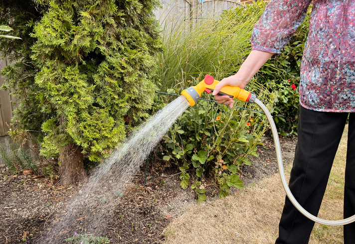 a-woman-in-floral-shirt-and-black-pants-holds-a-water-hose-with-the-water-spray-in-front-of-shrubs-next-to-dry-brown-grass