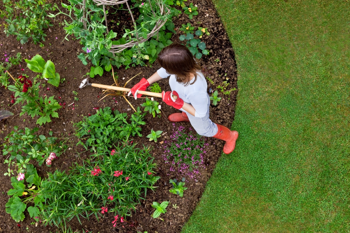 gardening mistakes that are killing your plants - aerial view of woman weeding with hoe