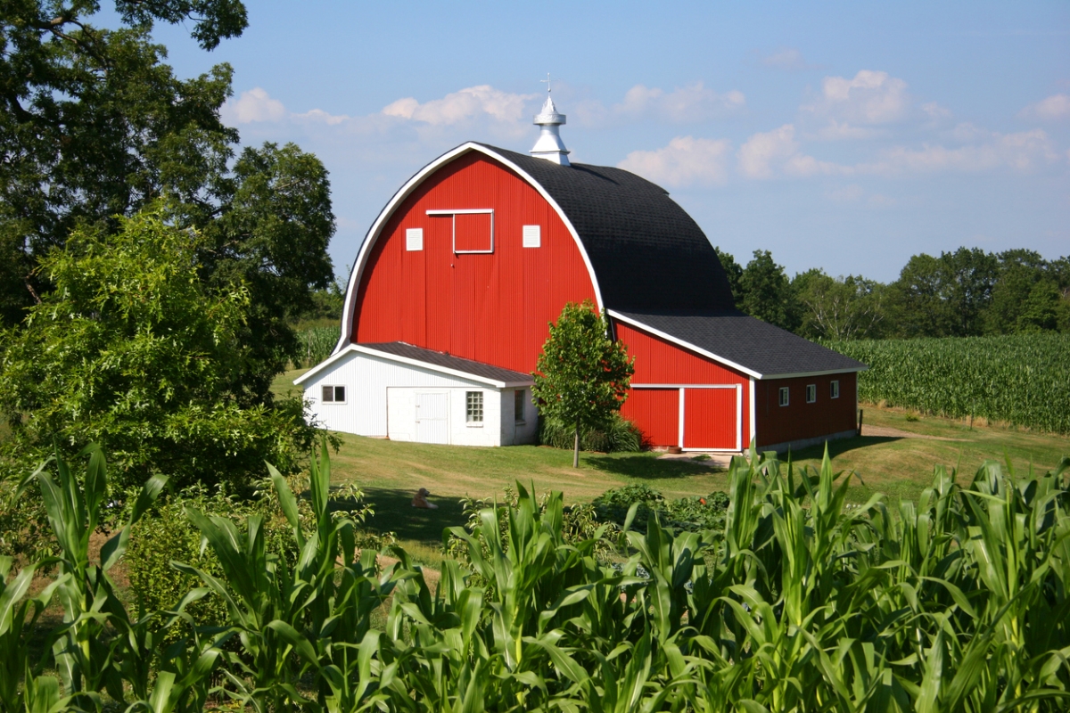 why are barns red - red barn behind corn field