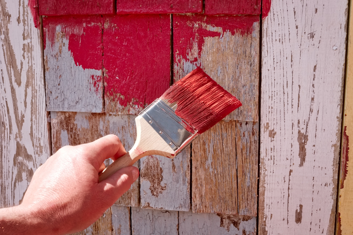 why are barns red - hand holding paint brush with red paint