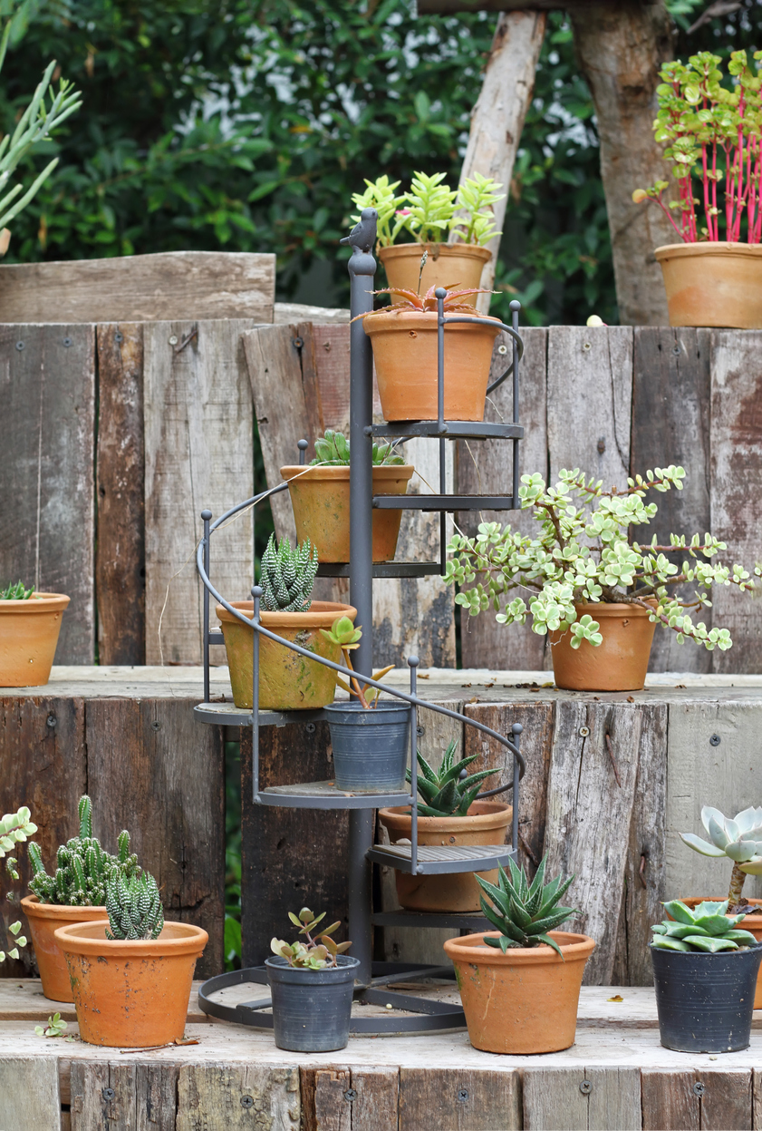 wood landscaping with mini spiral staircase with potted cactus plants on display