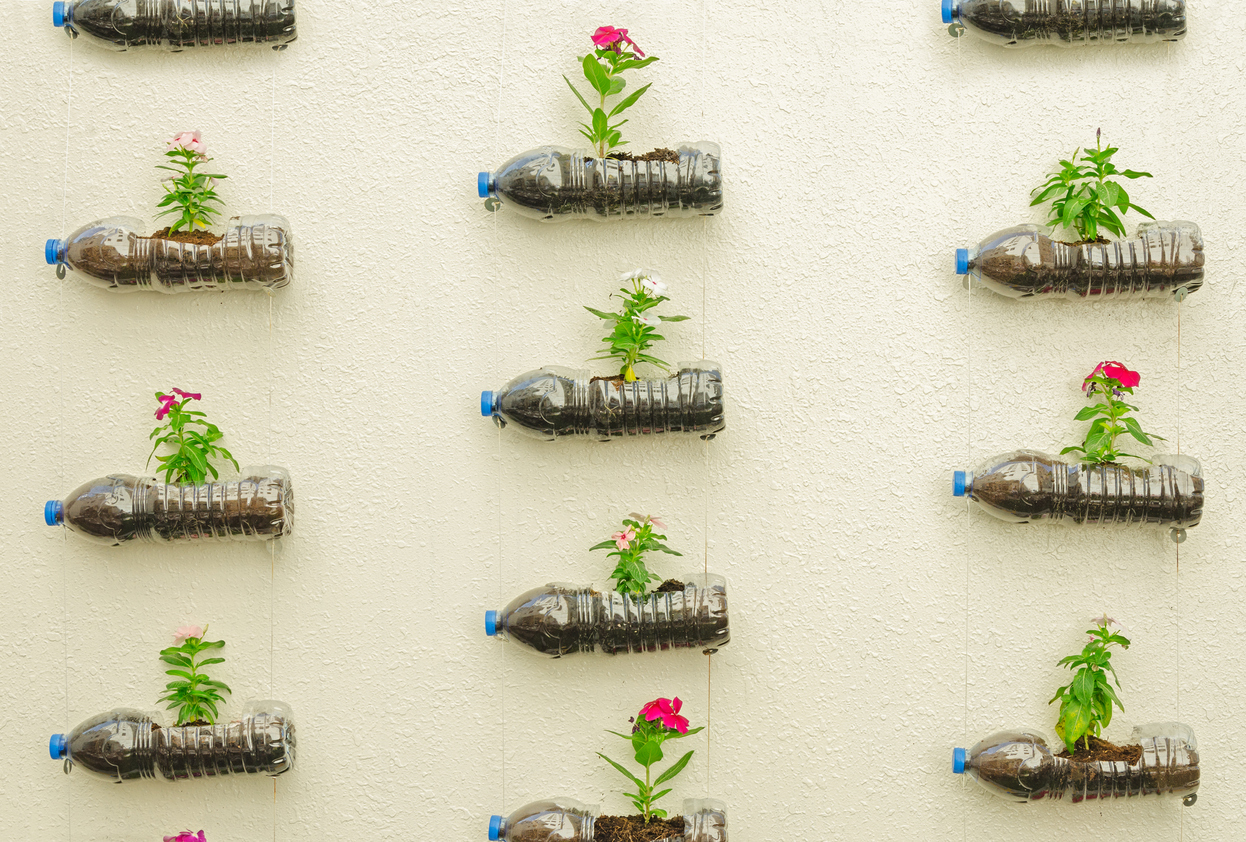 wall mounted with small flowers potted in dirt filled plastic bottles