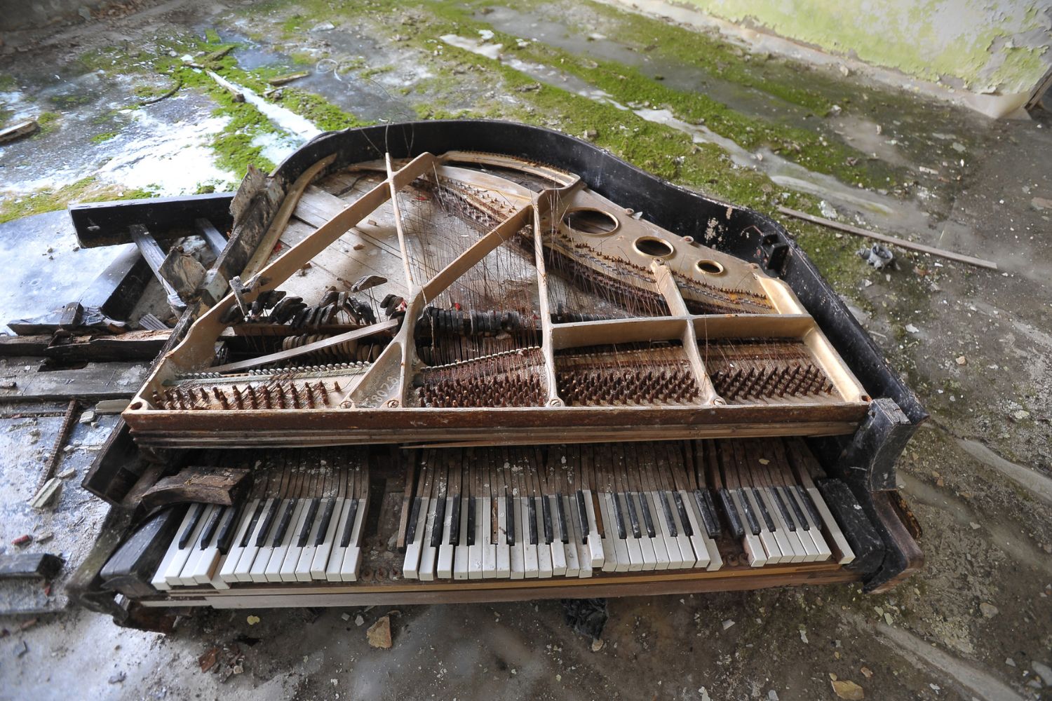 How Much Does Piano Removal Cost