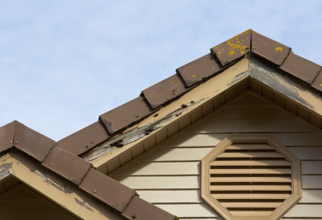How Much Does Termite Damage Repair Cost?