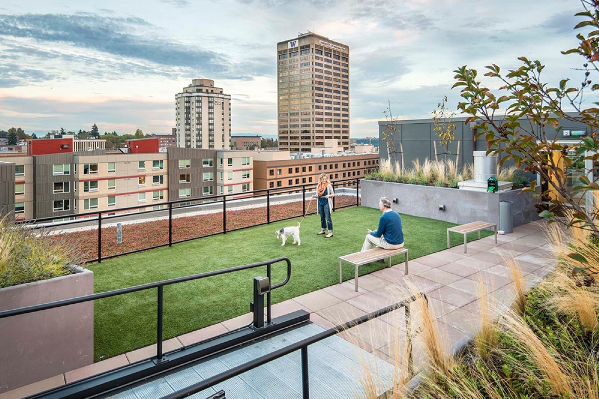 what to know about pet friendly apartments - people with dog on rooftop dog park