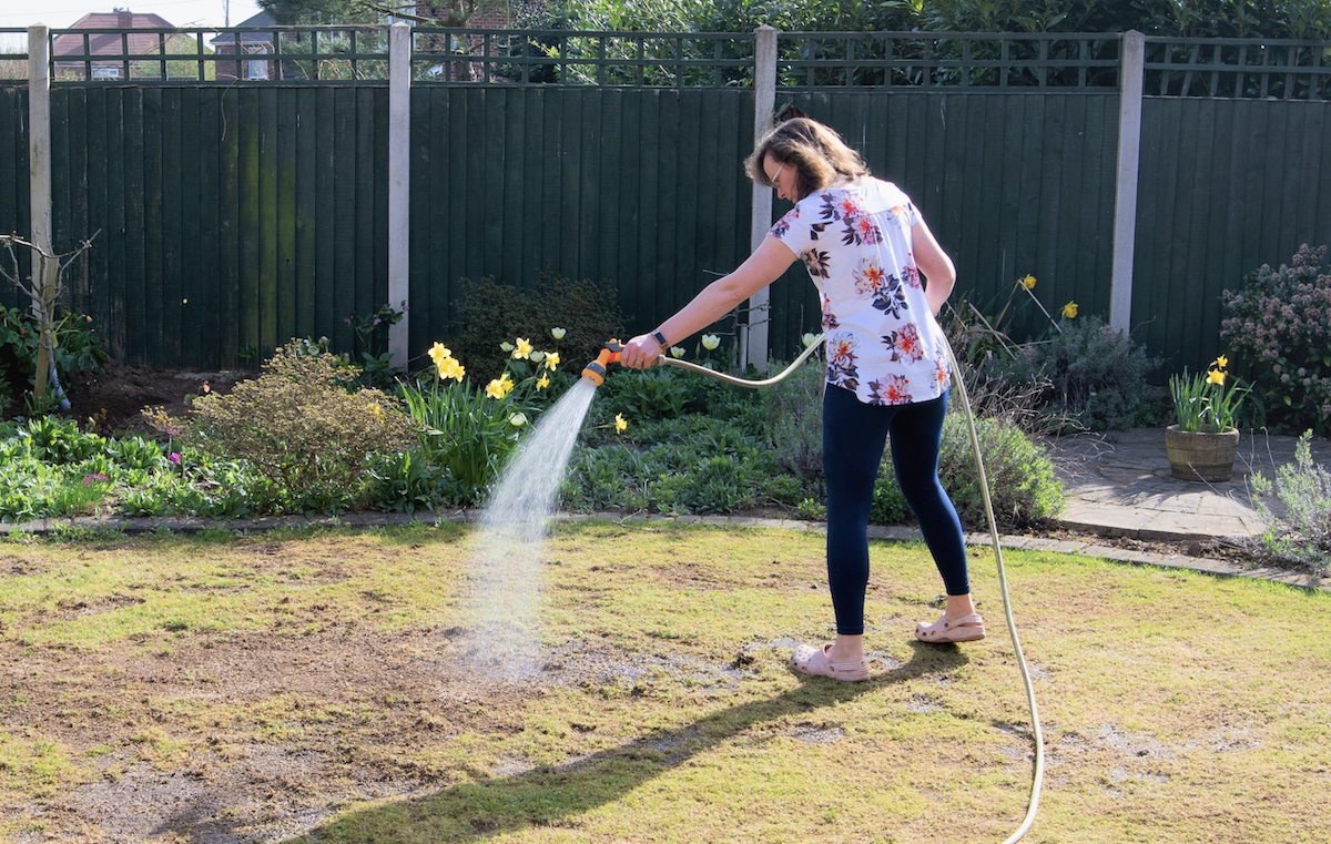 A woman uses a hose to water a brown and patchy lawn.