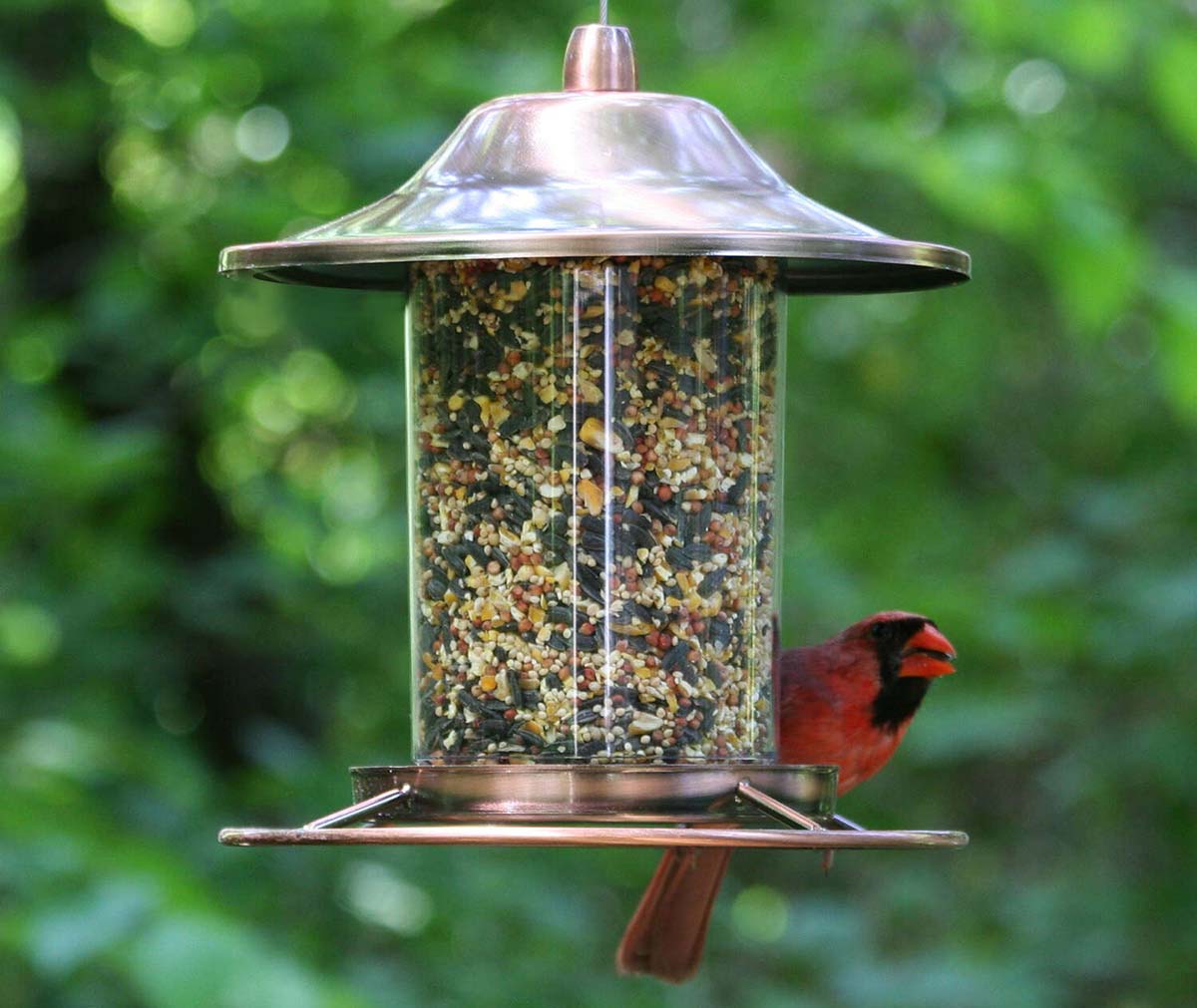 Best Mother's Day Gifts to Shop at Ace Hardware Option Perky-Pet Panorama Bird Feeder