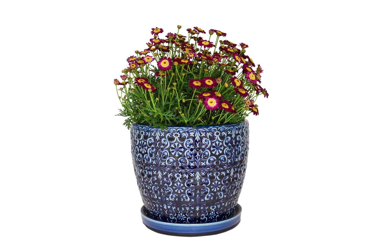 Best Mother's Day Gifts to Shop at Ace Hardware Option Trendspot Mediterranean Ceramic Planter