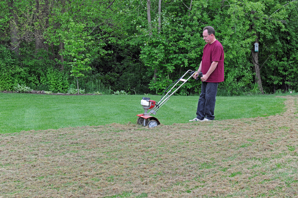 Man in red shirt uses lawn dethatcher on lawn.