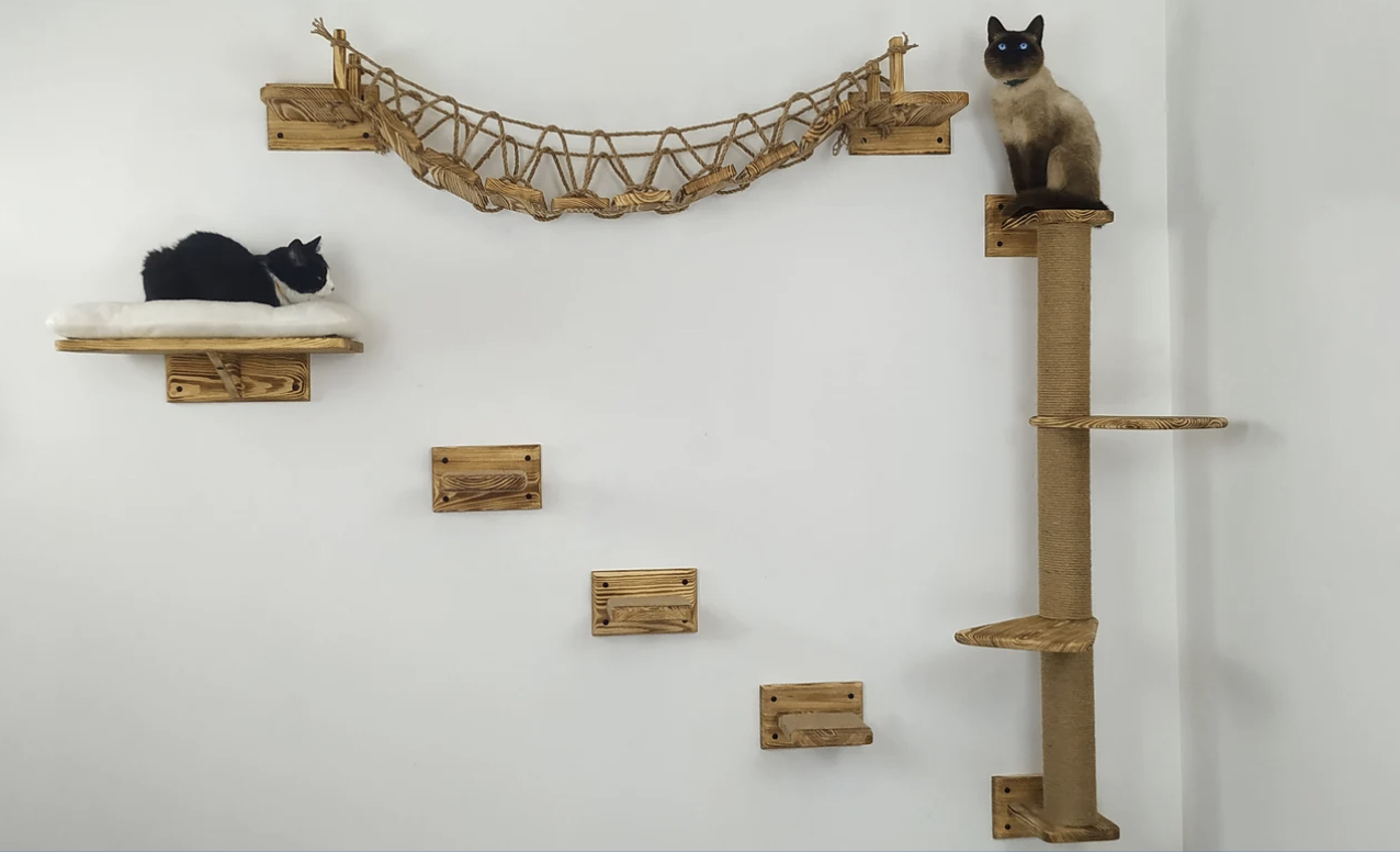 Two cats on a wooden cat bridge on a white wall